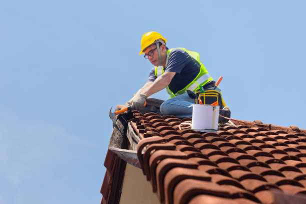 Best Roof Moss and Algae Removal  in Warren, IL